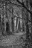 JamesGarden2310-12bw