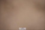 240623A-112448-17133