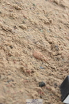 231013A-104618-01391