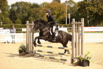 J13 - Junior Pony 60cm Championship portfolio