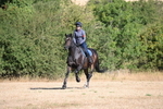 WJ6_6827