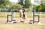 SBM_006378