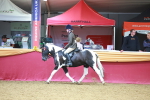 SBM_06139