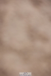 231112A-151305-05199
