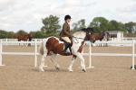 SBM_14644