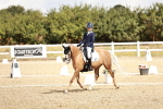 SBM_004309