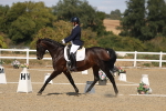 SBM_022479