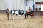 SBM_000643