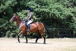 WJ7_2764