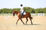 SBM_010238