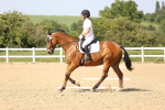 SBM_010253