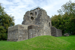 Crookston Castle - DSC_4831