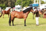 SBM_00474