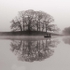 Esthwaite Fishing Mistbw sq