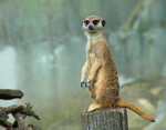 Warsaw Zoo