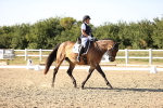 SBM_007708