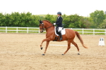 SBM_006313