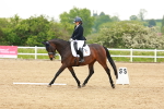 SBM_006013
