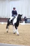 SBM_001081