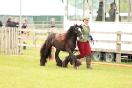 SBM_06273