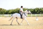 SBM_007462