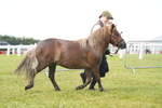DSC04660