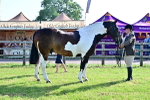 SBM_11531