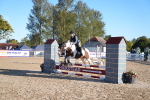 SBM_14042