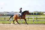 SBM_002881
