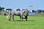 SBM_03342