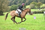 446-WANDALUST-Lizzie.Luxton-SC+XC portfolio