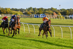300926-Race 7-Prince Of Calypso-7042