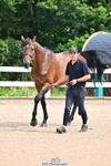 Trot Up 11am to 12pm portfolio