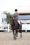 Class 51 - Best Turned Out Ridden portfolio