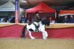 SBM_09646