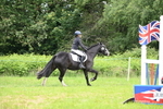 WJ6_5301