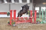 BPP_0817