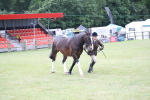 SBM_11269