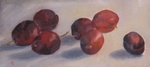 'Marjorie' Victoria plums