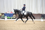 SBM_002211