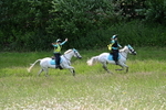 WJ7_8717
