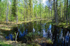 Kajaani to Kuhmo, Kainuu, Finland