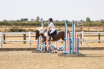 SBM_000666