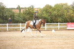 SBM_001038