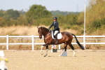 SBM_017911