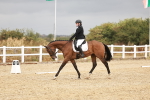 SBM_001864