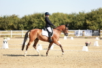 SBM_016936