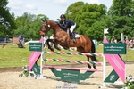 373-BENGAL_LORE-Pippa_Taylor-SUNTrotUp+SJ portfolio