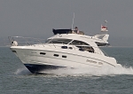 100418 RAJAR GOOSE IMG_2653JPG