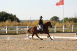 SBM_007055